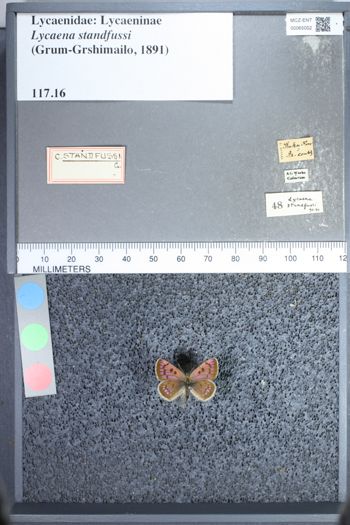 Media type: image;   Entomology 65002